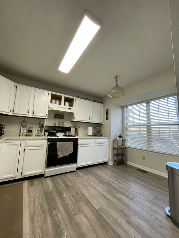 Building Photo - 106 Healy Ct