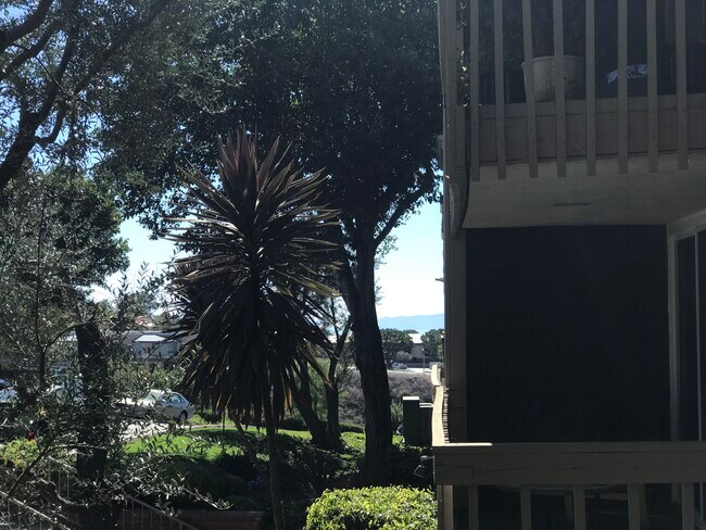 Vista de Catalina (¡cuidado!) - 6542 Ocean Crest Dr Unidad B210