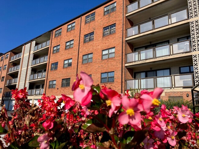 Building Exterior - Montgomery Plaza Apartments