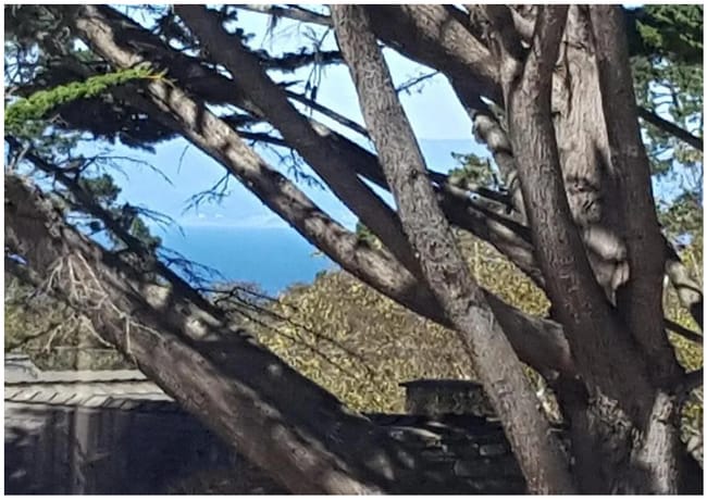 Photo - 699 Lottie St