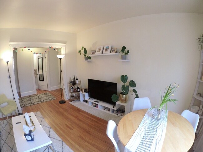 Photo - 241 Freeman St