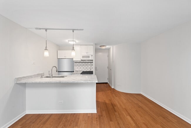 Photo - 1221 N Dearborn Pkwy Unit 806S