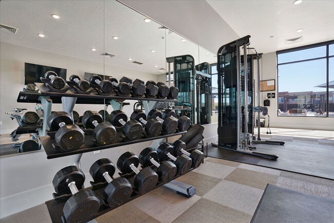 Photo - Coyote Creek