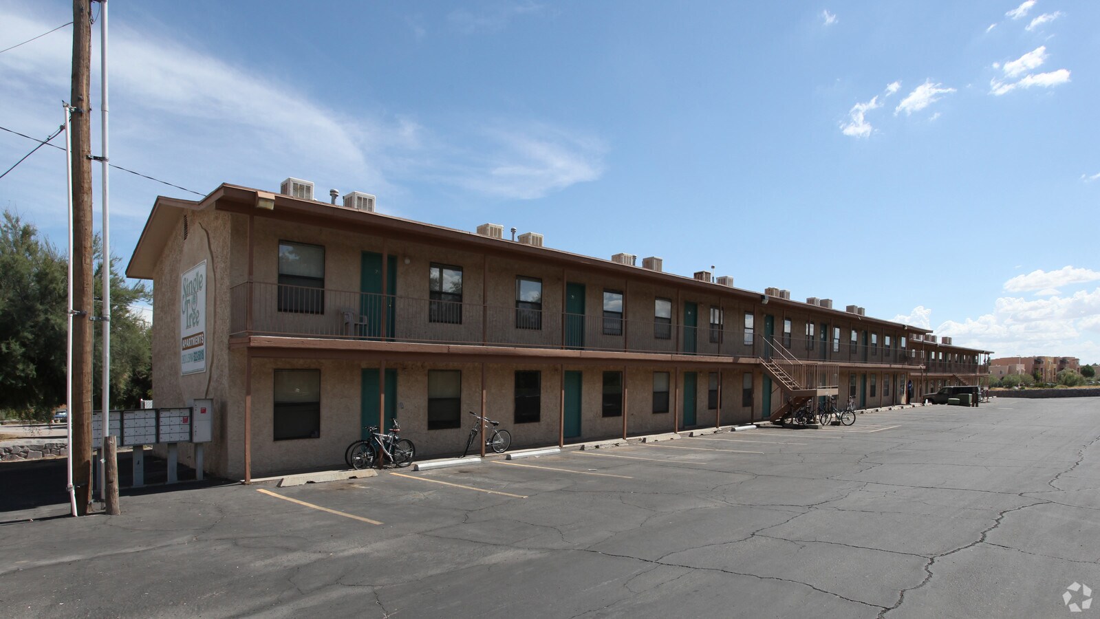 Single Tree Apartments - Single Tree Apartments