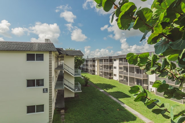 Photo - Spectra Palms