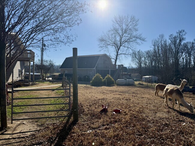 Photo - 3521 Mint Rd
