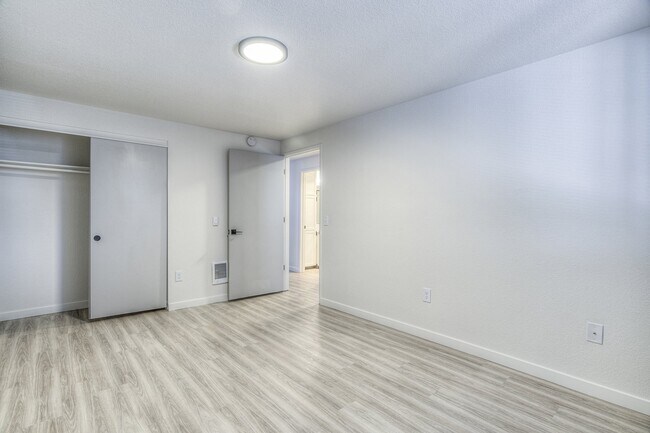 Oasis at 2600