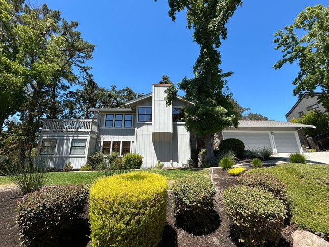 Building Photo - Must See Spacious Alamo 4BR Home with Remo...
