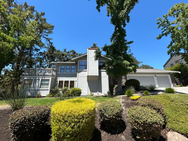 Must See Spacious Alamo 4BR Home with Remo... - Must See Spacious Alamo 4BR Home with Remo...