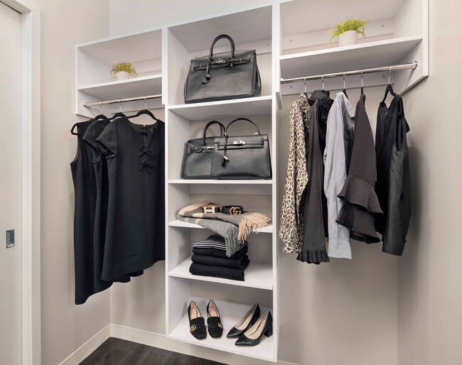 Large walk-in closet with custom shelving