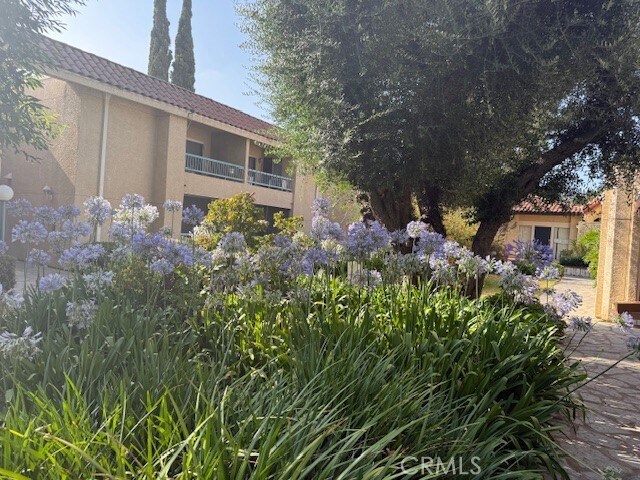 Building Photo - 18307 Burbank Blvd Unit 234-234 Rental