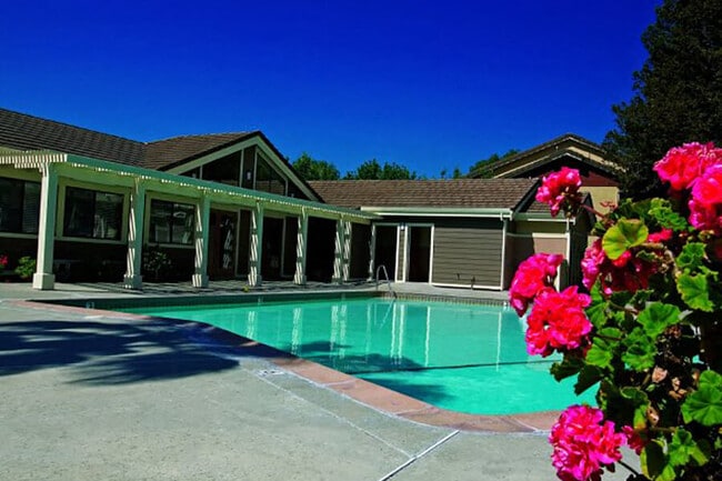Sparking swimming pool