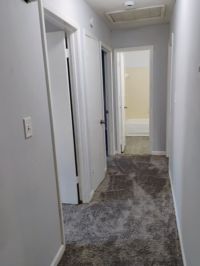 Completely Renovated 3 Bedroom/2 Bath Ador... House House Rental in