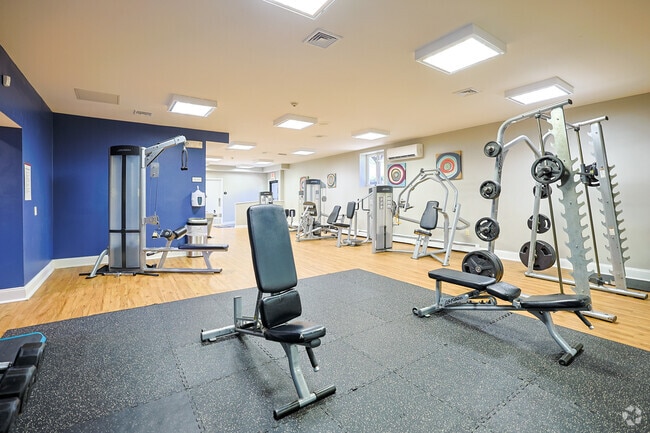 Gimnasio