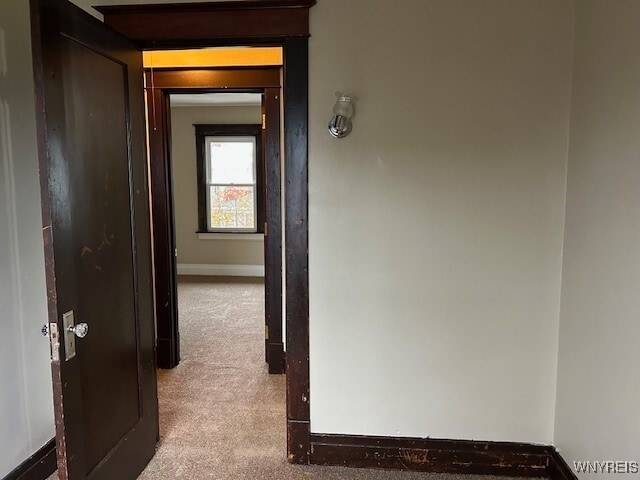 Photo - 384 Skillen St