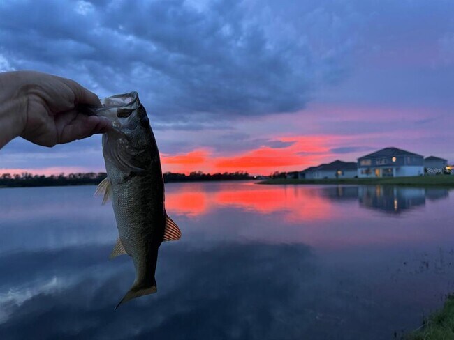 Photo - 3049 Ella Wy