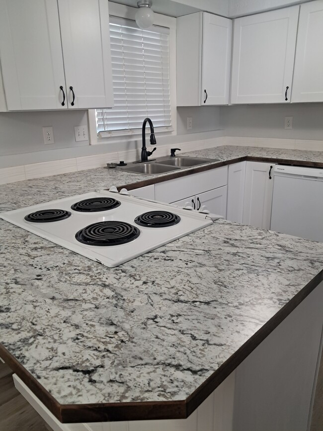 Kitchen - 111 Center St Unit 1B