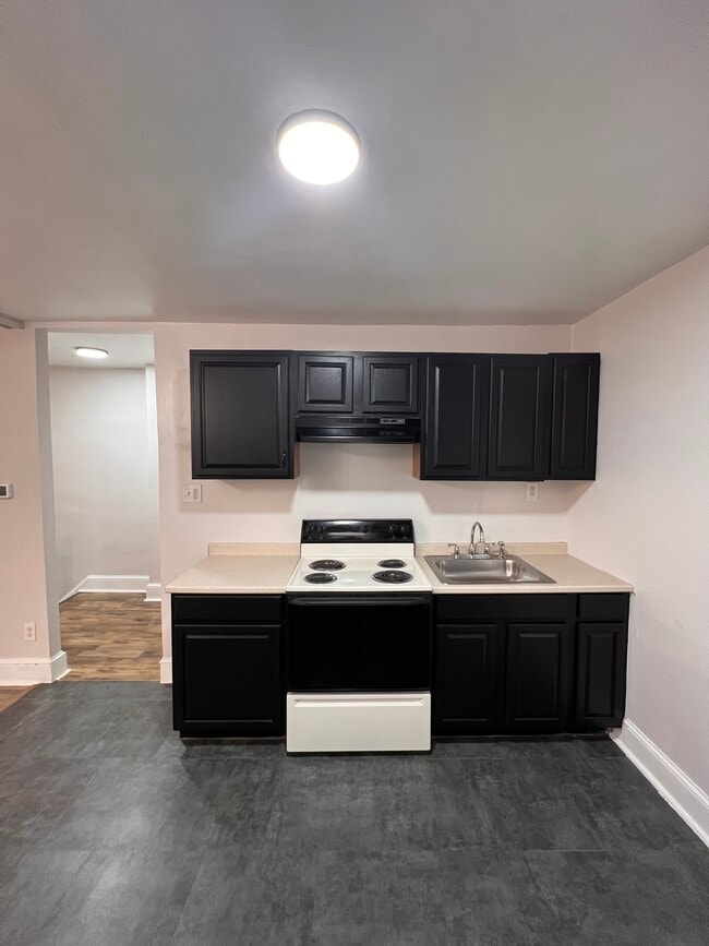 Freshly painted kitchen cabinets, brand new hood vent - 340 E Broadway Ave Unidad Apt B