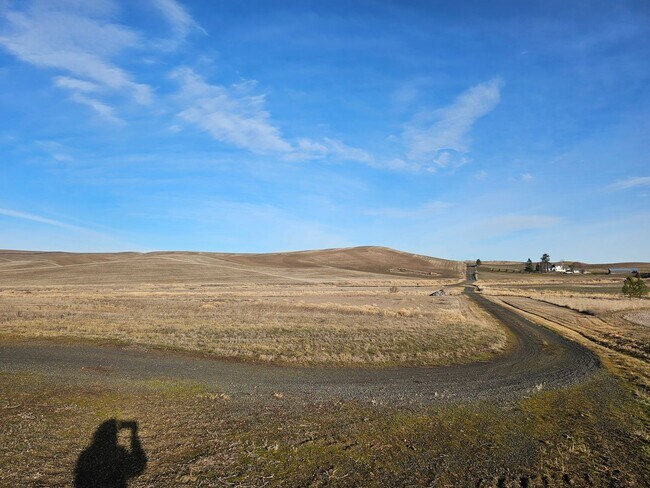 Photo - 1101 Stan Wilcox Rd