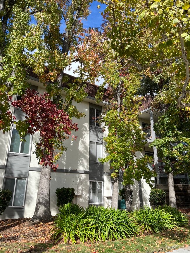 Photo - 4081 Clayton Rd