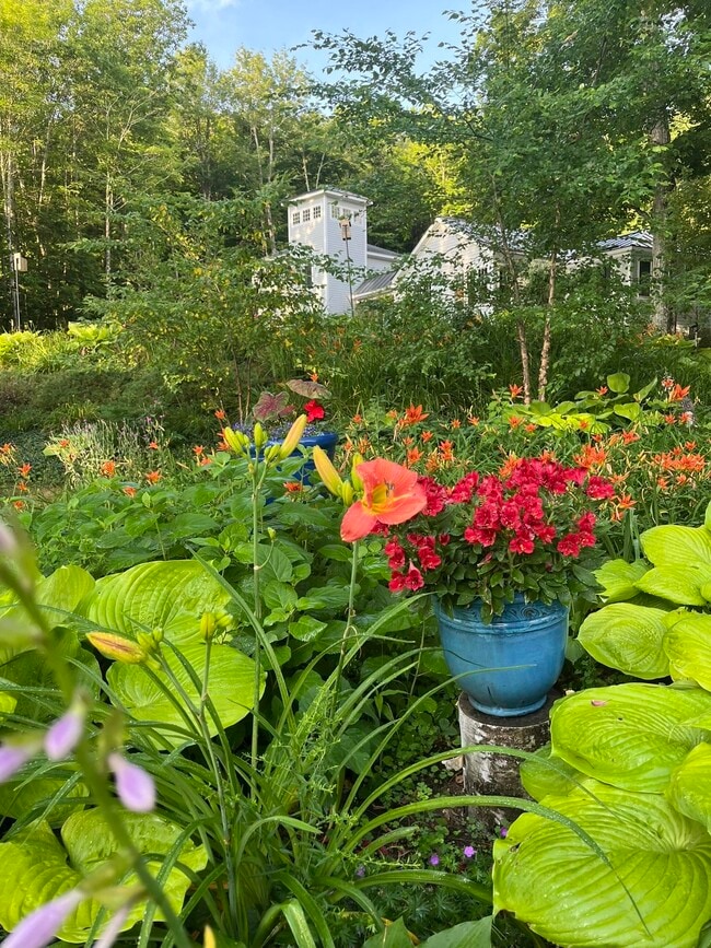 Photo - 586 Bunker Rd