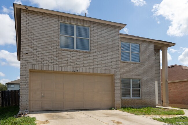 Photo - 7230 Dwarf Palm