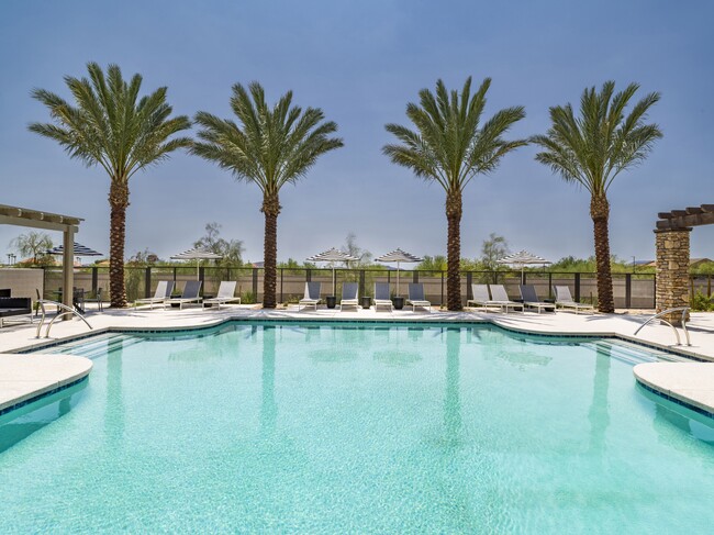 Dive into relaxation at Aster Ridge’s resort-style pool, where comfort meets luxury under the Phoenix sun. - Amavi Aster Ridge Rental