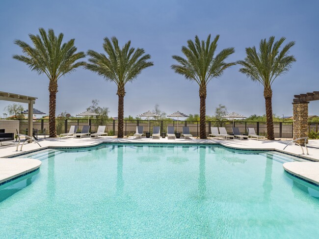 Dive into relaxation at Aster Ridge’s resort-style pool, where comfort meets luxury under the Phoenix sun. - Amavi Aster Ridge Homes