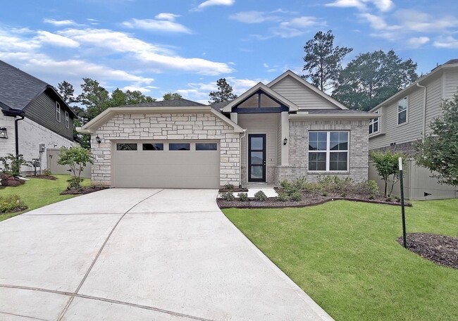 Photo - 15034 Baikal Teal Ter