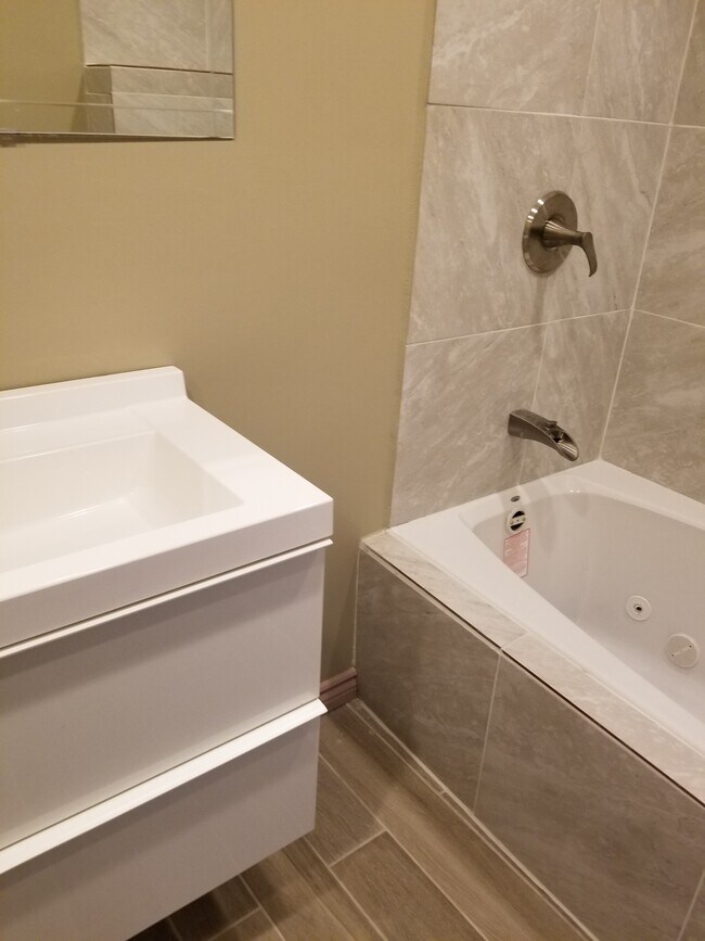 over sized vanity - 211 E 161st Pl Unit 2