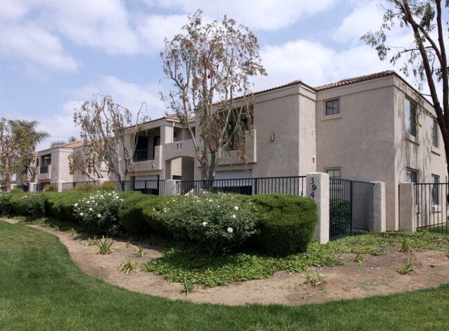 Photo - Brandon Place Senior