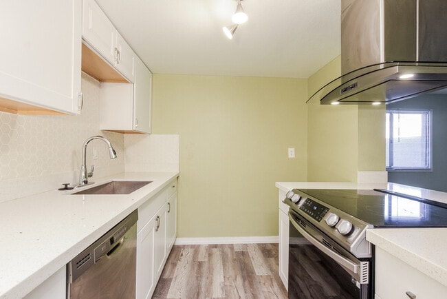 Photo - 4009 W Palomino Rd