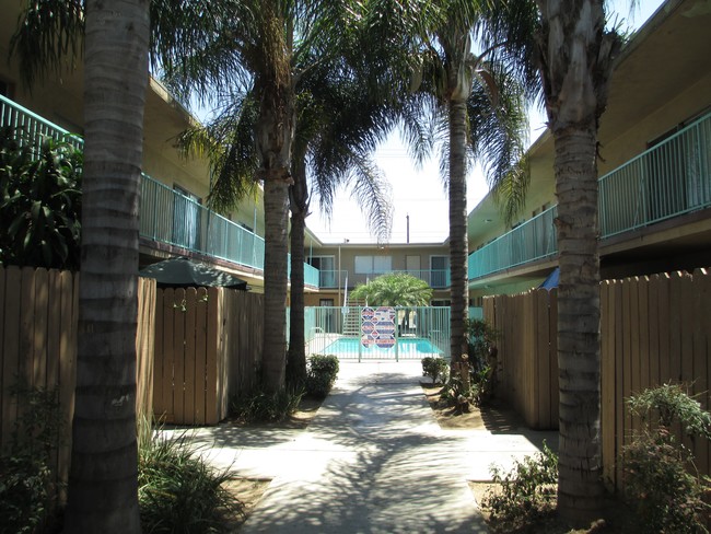 The Oasis - The Oasis Apartments