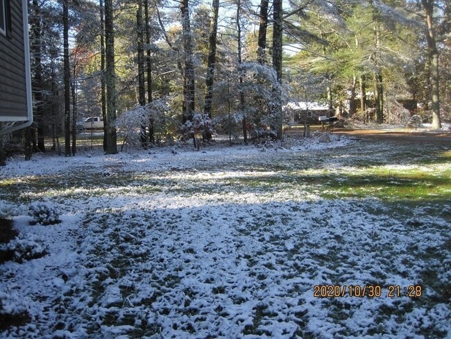 Photo - 9 Rickard St