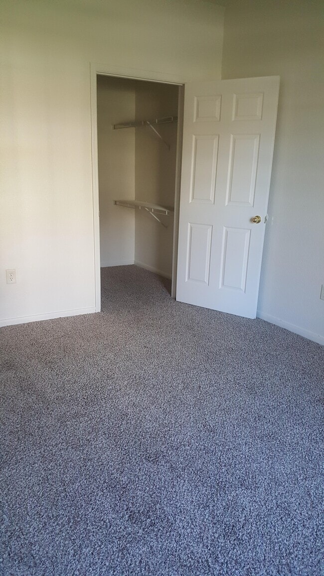 Photo - Village Crest