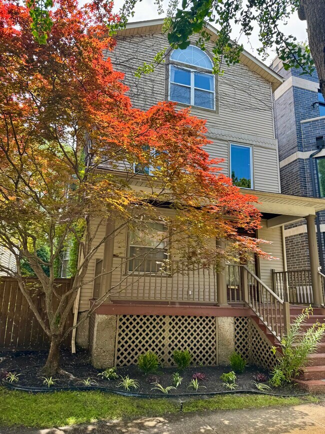 front maple tree - 1843 W Waveland Ave Unit 2