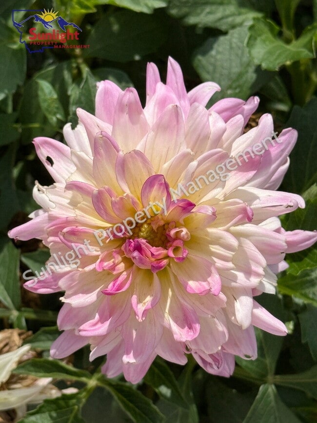 Photo - 15 Applewood Dr