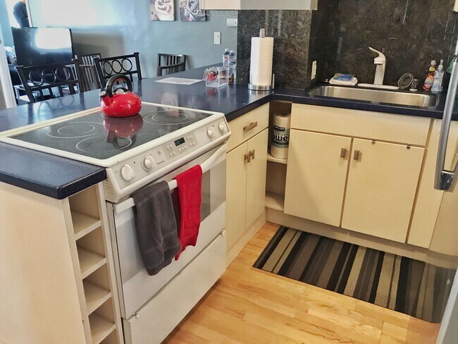 Photo - Penthouse Living at the Elektra, 96 Walk S...