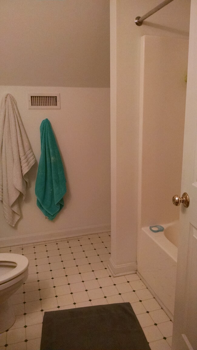 upper bath - 108 Pine St Unit A