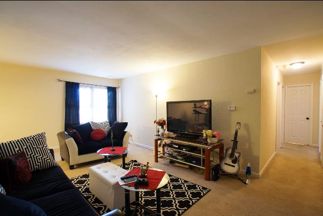 Spacious Family Room
