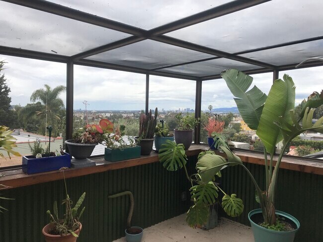 Vista desde patio - 837 Micheltorena St