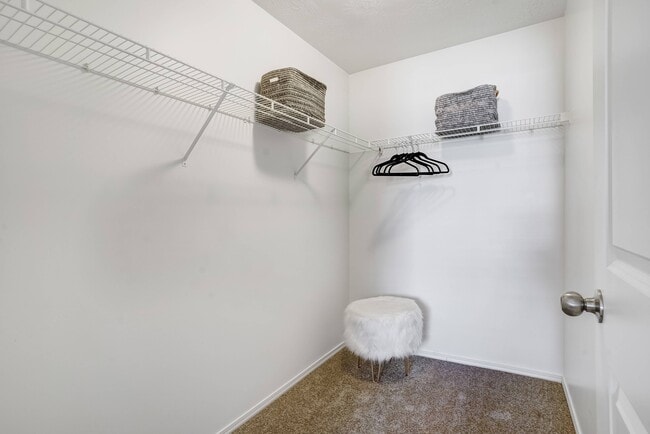 Large Walk-in Closets