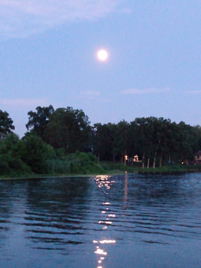 vista nocturna - 4331 Ormond Dr Unidad 1