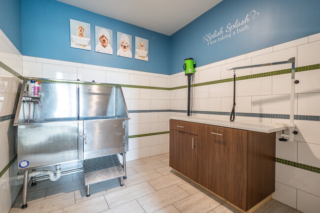 Paw Spa - The Flats at 345