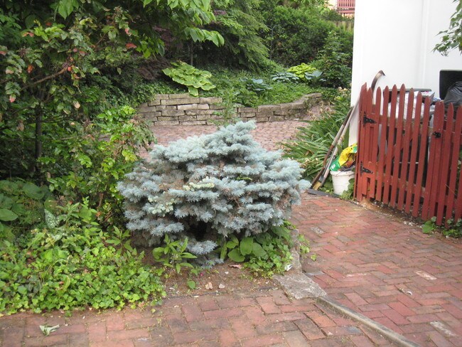 patio - 117 E Sycamore St Unit 117