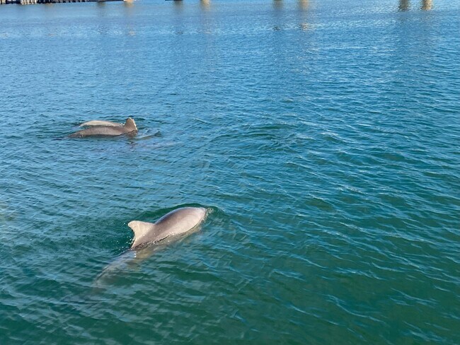 Photo - 3536 Belle Vista Dr E