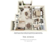 The Athens