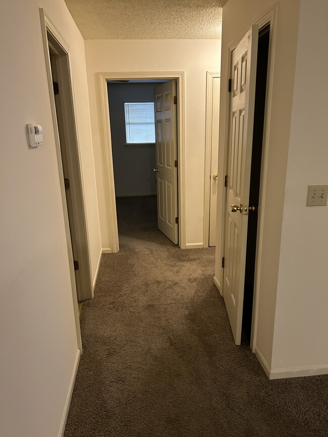 Pasillo - 223 Hunter Dr