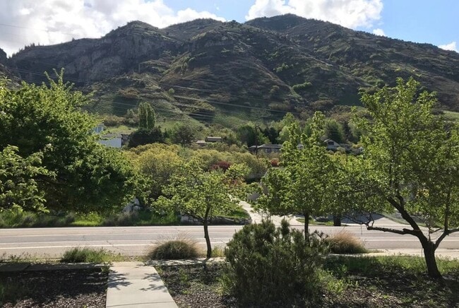 Photo - 3837 Foothill Dr Unit 1