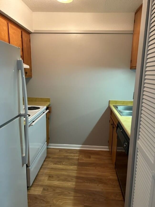 Photo - Salt Marsh Cove